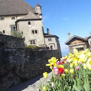 la-pointe-dyvoire.hotels-rhonealpes.com/