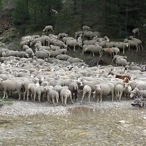 la-sauvaniere.hotels-rhonealpes.com/